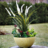 Blumenschale Pflanzgef�� 2,6 Liter Pflanzschale 25 x 12 cm Gartenschale