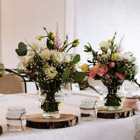 Baumscheiben 3 St�ck gro�e Birkenscheibe � 15 bis 35 cm geschliffen Holzscheiben