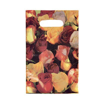 Foleinbeutel Tragetaschen Plastikt�ten 100 St�ck 30 my Beutel Taschen