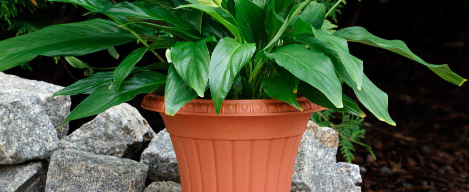 myBoxsho.de eine Marke der lotex24